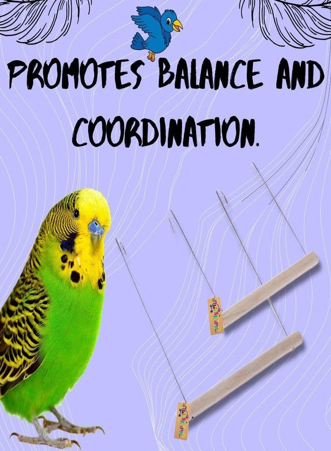 ويستيرن إرا أرجوحة معلقة على قفص الطيور من ويسترن إيرا - عزز وقت لعب صديقك ذي الريش، مثالية للطيور الصغيرة والكبيرة (عبوة من قطعتين) سلك بمقاس 4×6 و6×8 - Image 2